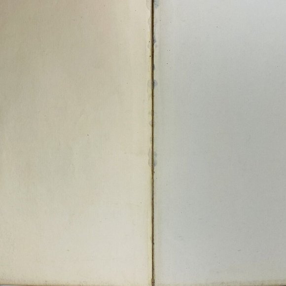 Encyclopedia Britannica 1926 Pacific - Zuyder Zee Leather Book 3 Only - Picture 5 of 12